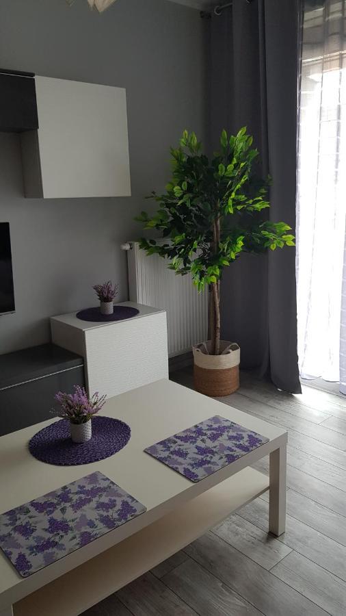 Boznicza Old Town Lux Apartment, Self Check-In 24H, Free Parking Poznań Buitenkant foto
