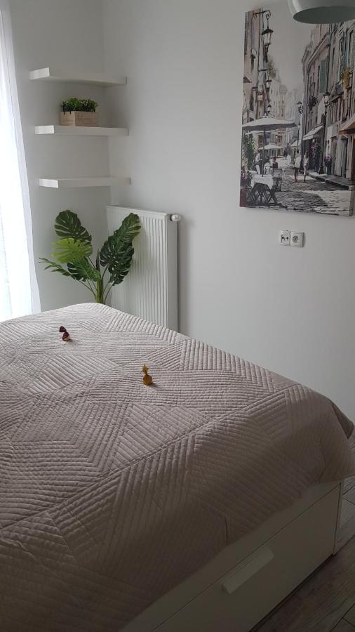 Boznicza Old Town Lux Apartment, Self Check-In 24H, Free Parking Poznań Buitenkant foto